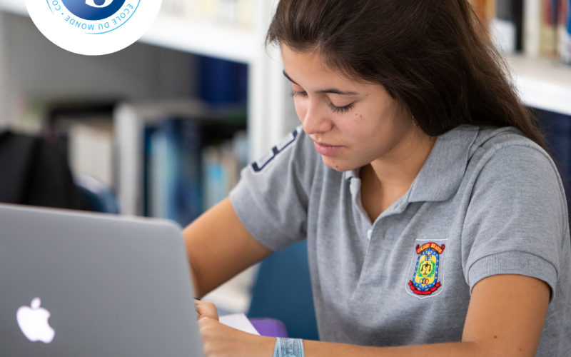 IB bachillerato internacional en brains international schools