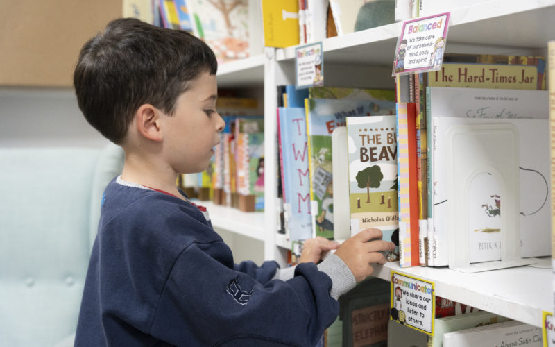 bilblioteca educación infantil